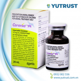 Cerenia 20ml - Ngăn ngừa buồn nôn dành cho Chó Mèo