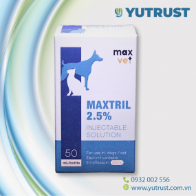 Maxtril 50ml -  Hỗ trợ giảm nhiễm trùng ở Chó Mèo