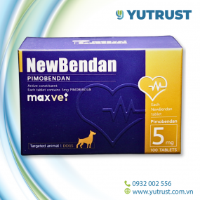 NewBendan 5mg - Hỗ trợ tim mạch ở Chó