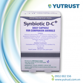 Synbiotic D-C+ - Thực phẩm hồi phục sức khỏe đường ruột dành cho Chó Mèo